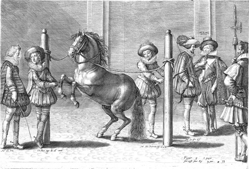 Courbette dans les piliers L INSTRUCTION DV ROY 1625